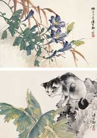 柳滨 猫 花卉草虫 册页镜心（二件）